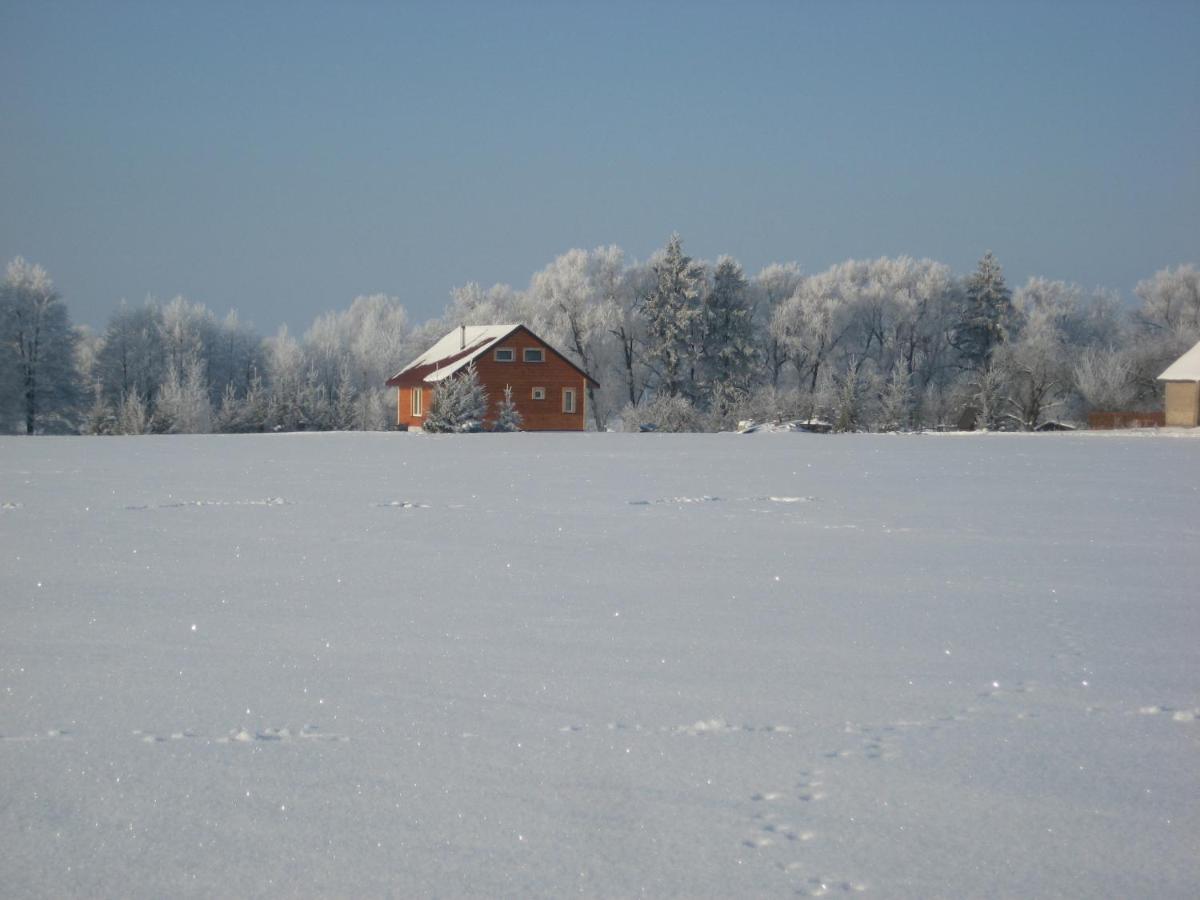 Domki Nad Jeziorem Villa Rajgród Eksteriør billede